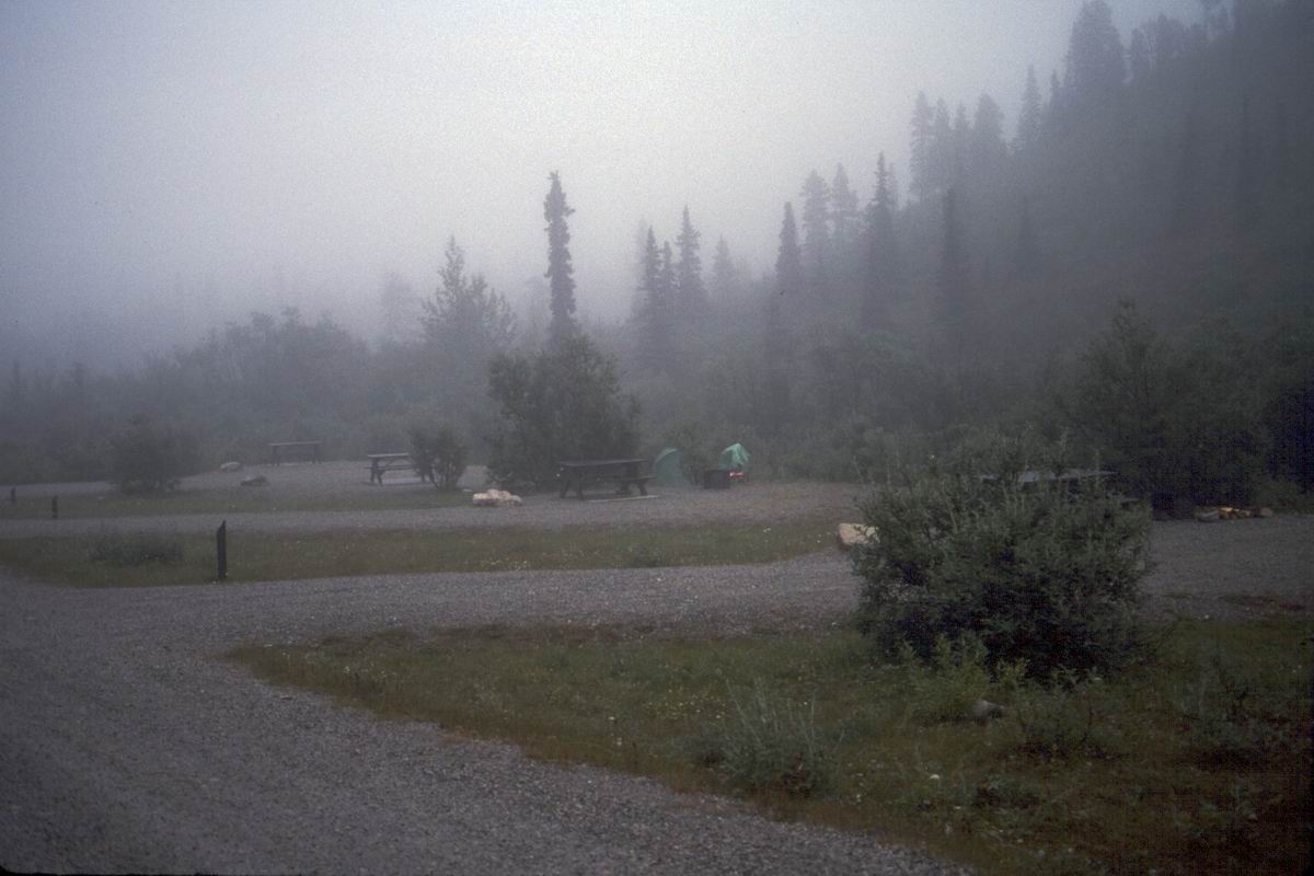 196 Cold foggy Summit Lake campground.jpg