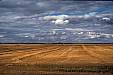 226 Wheat fields Saskatchewan.jpg
