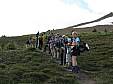 0144-Trail Ascending Bald Hill.JPG