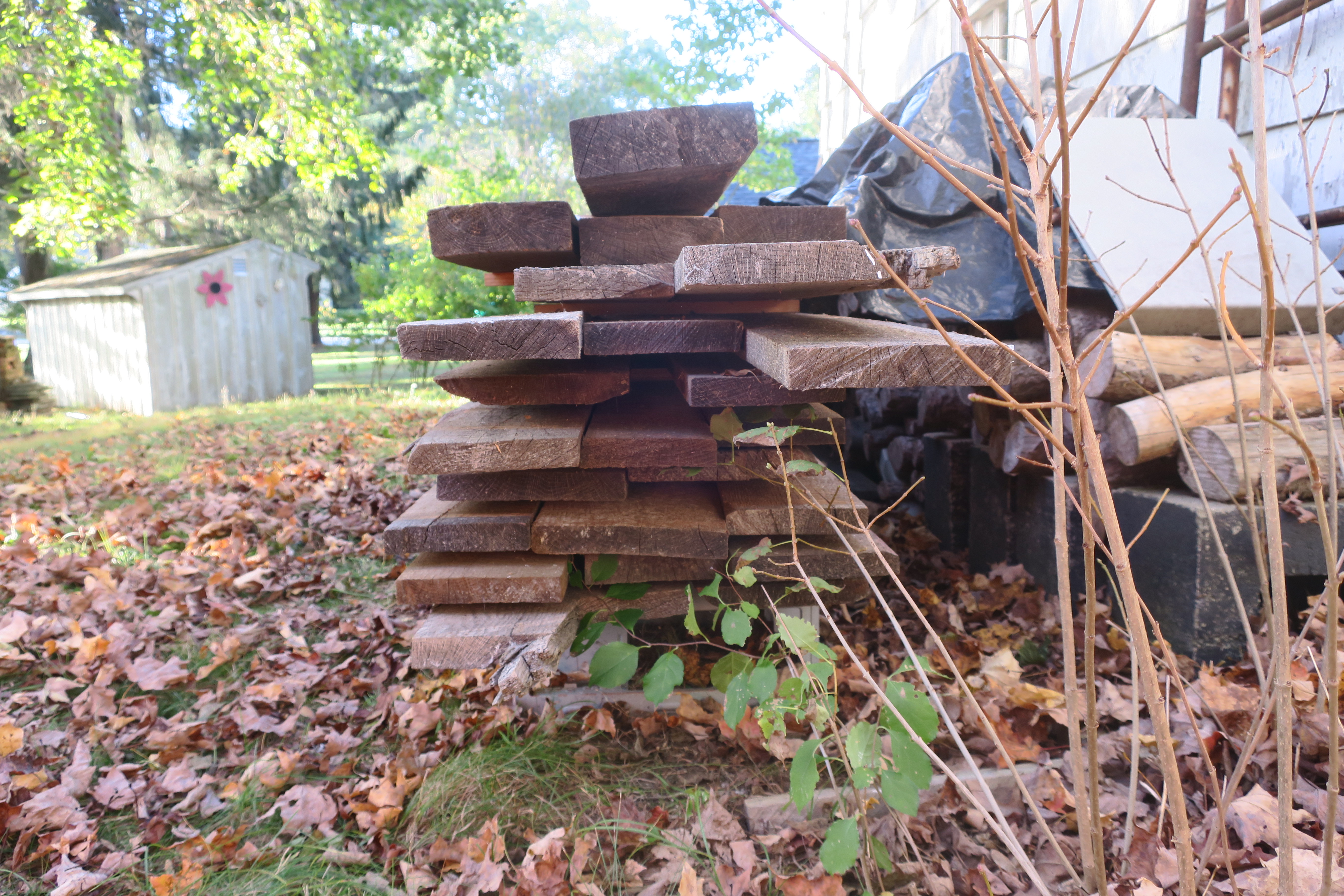 IMG_5384 oak planks.JPG