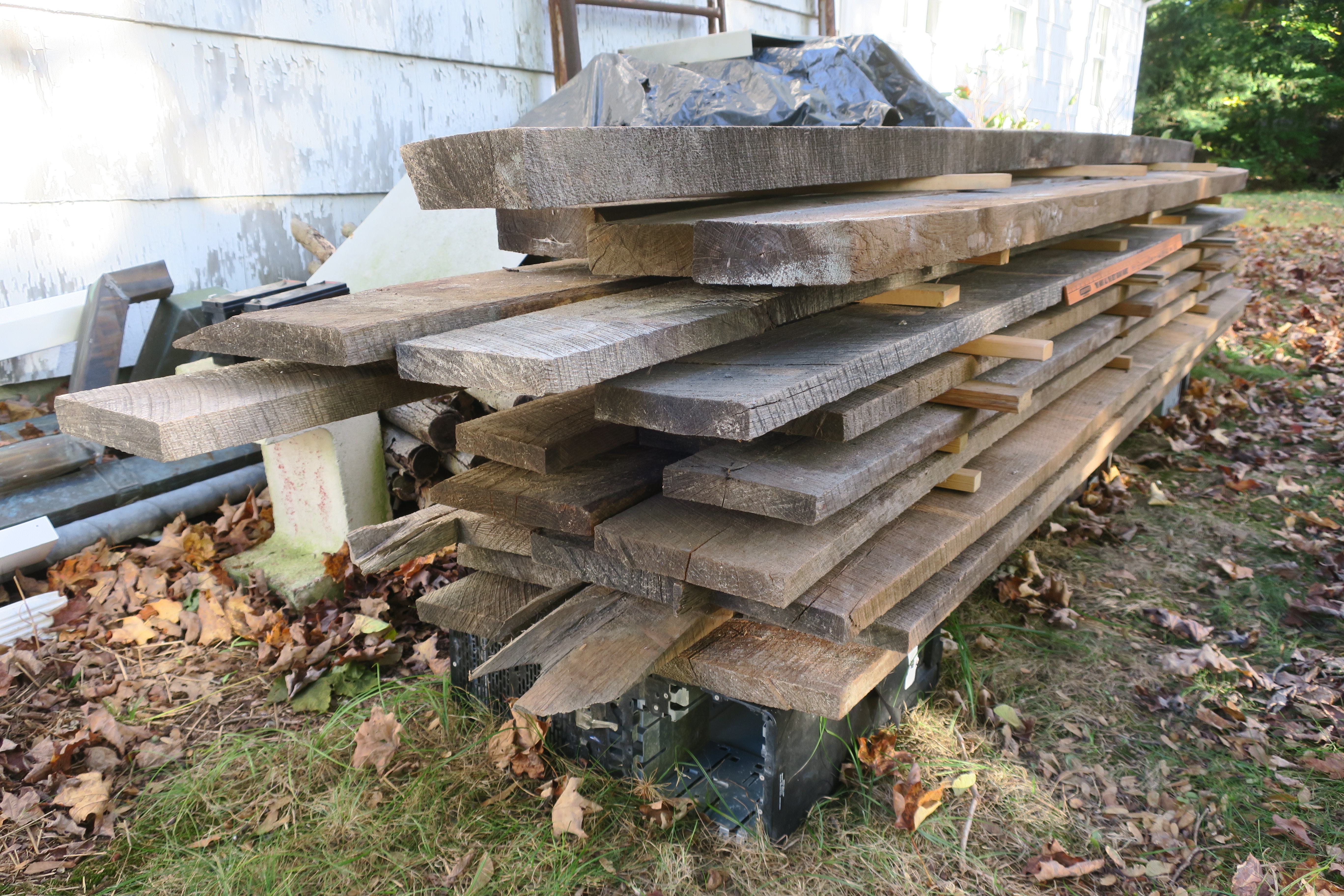 IMG_5386 oak planks.JPG