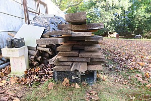 IMG_5383 oak planks.JPG