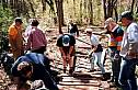 building_boardwalk_10.jpg