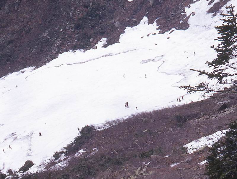 tuckerman031b.jpg