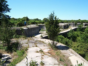 Aug1107_ricka_13.JPG