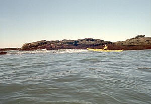 Dec0306_ricka_09.jpg