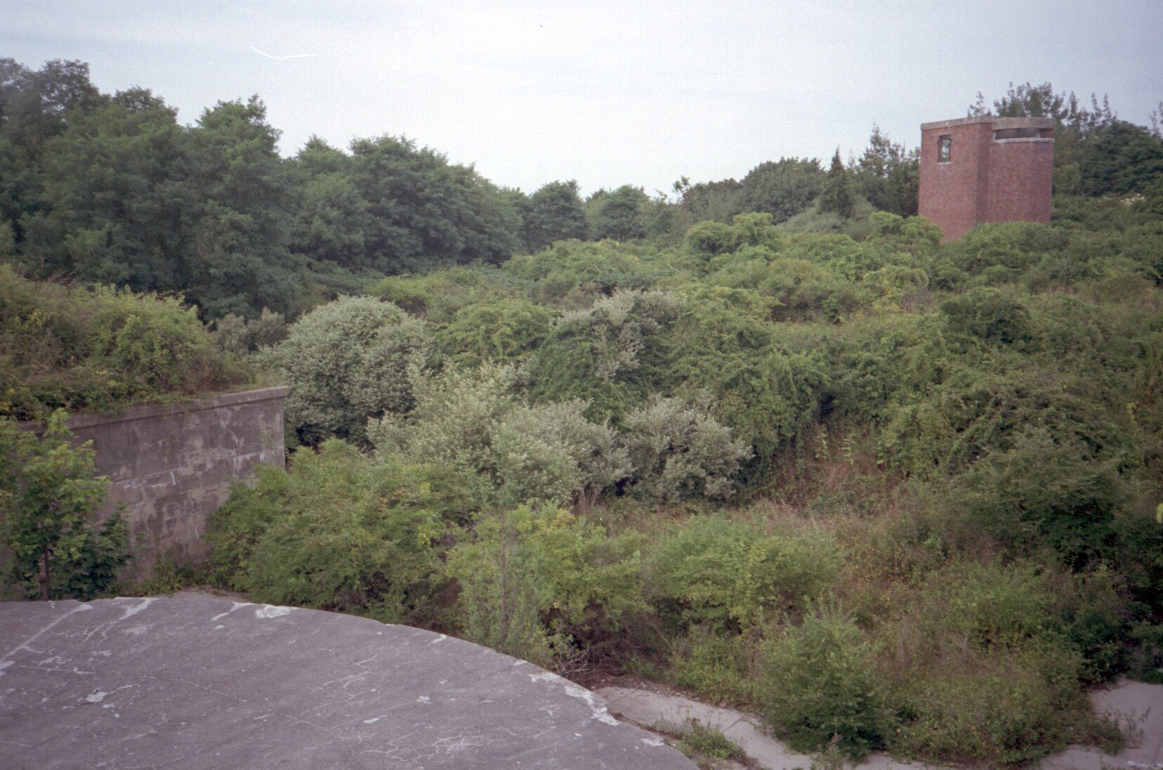 dutch_island_02.jpg