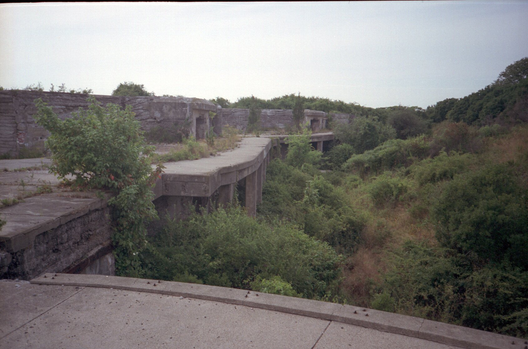 dutch_island_13.jpg