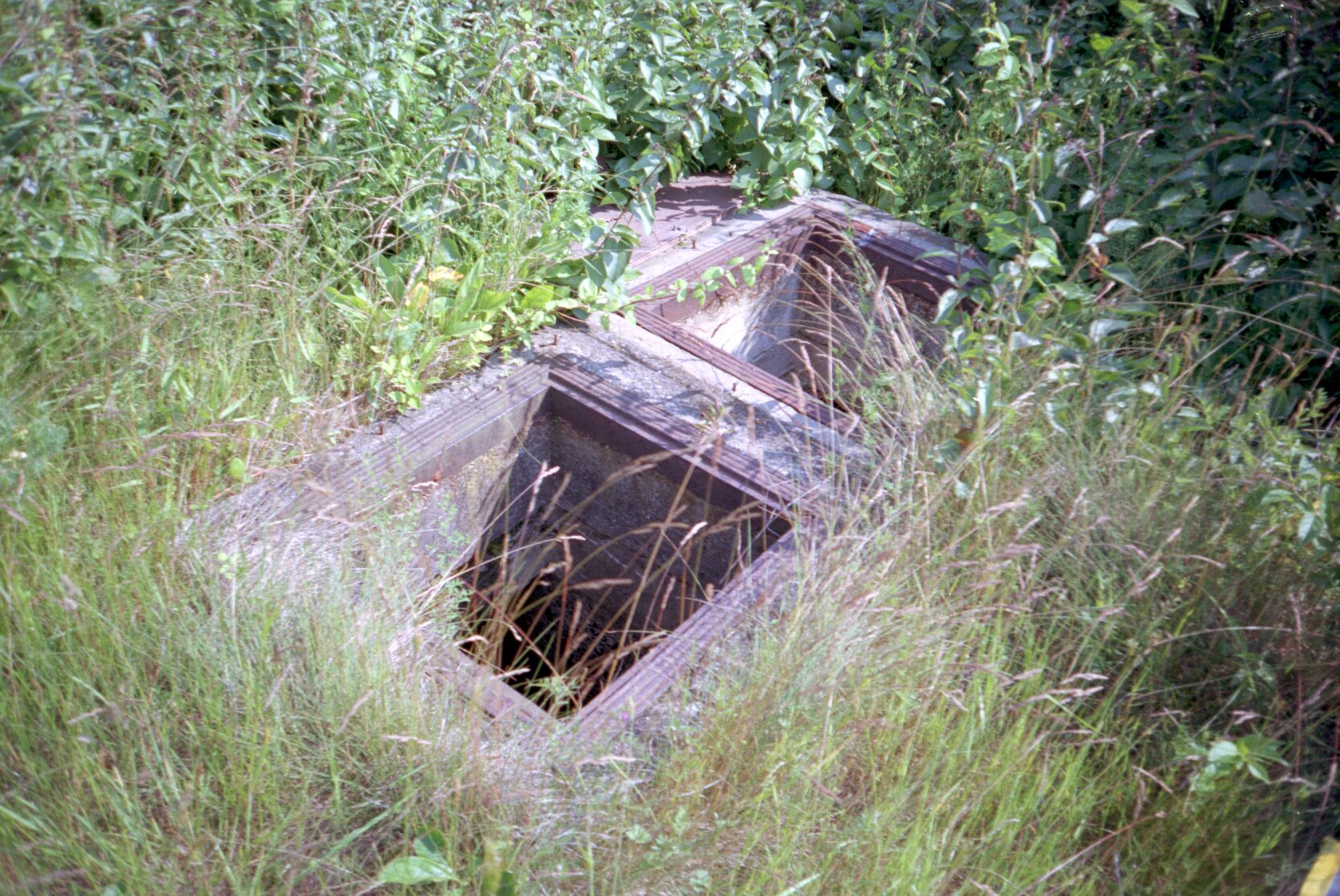 dutch_island_39.jpg