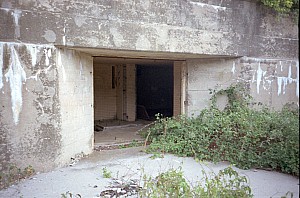 dutch_island_06.jpg