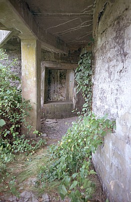 dutch_island_12.jpg