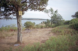 dutch_island_21.jpg
