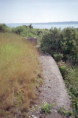 dutch_island_28.jpg