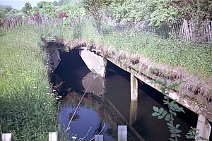 dutch_island_36.jpg