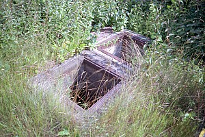 dutch_island_39.jpg
