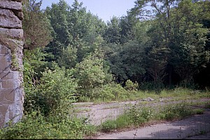 dutch_island_49.jpg