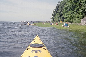 July1402_Ricka_06.jpg