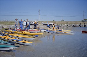 Jun10_Ricka_sm02.jpg