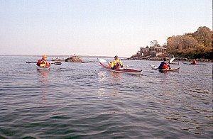 Nov0203_Ricka_07.jpg