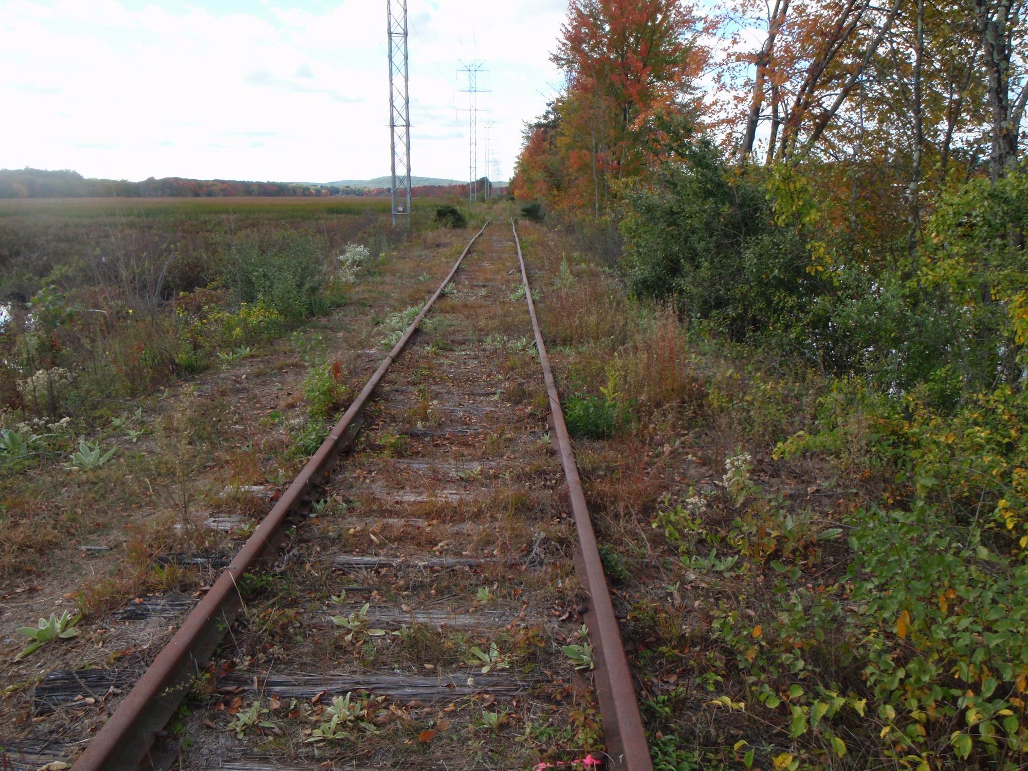 PA060030.JPG