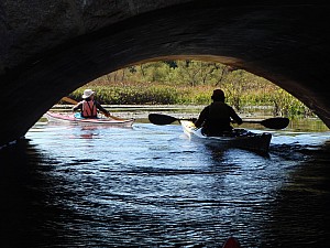 PA060006.JPG