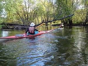 PA060057.JPG
