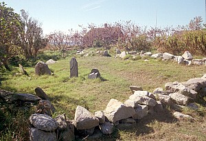 Oct0806_ricka_29.jpg