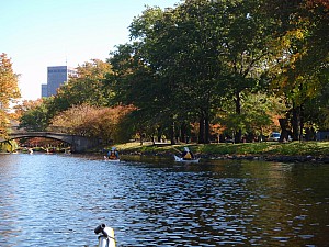PA260050.JPG
