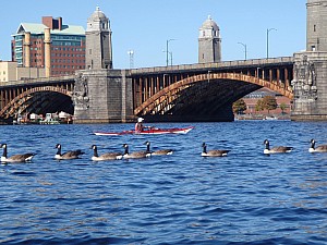 PA260063.JPG