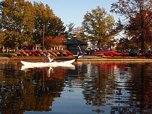 PA260167.JPG