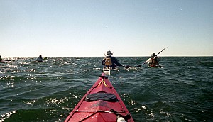 Sept2307_ricka_51.jpg