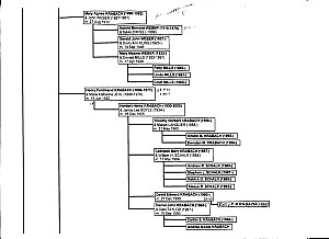 Chart E002.jpg