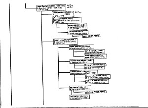 Chart E003.jpg